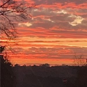 Meet your Posher, Riley